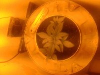 20170217_191321.jpg