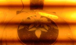 20170217_191239.jpg