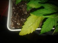 20170218_123847.jpg