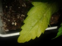 20170218_123856.jpg