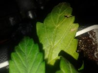 20170218_123919.jpg