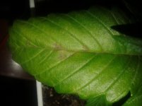 20170218_123928.jpg