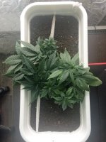 20170219_120058310_iOS.jpg 20170219_120058310_iOS.jpg