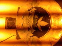 20170220_212135.jpg