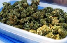 buleberry-600x393.jpg buleberry-600x393.jpg
