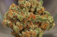 classic_trainwreck_largephoto-600x393.jpg classic_trainwreck_largephoto-600x393.jpg