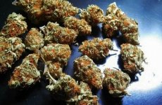 berrywhite-600x393.jpg berrywhite-600x393.jpg