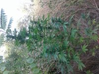 20160910_164724.jpg