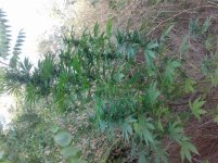 20160910_164816.jpg