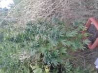 20160916_165930.jpg