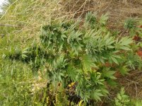 20160918_102917.jpg