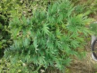 20160918_102926.jpg