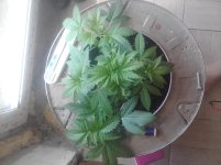 20170223_102510.jpg