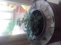 20170223_102517.jpg