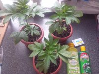 IMG 20160505 142822.jpg