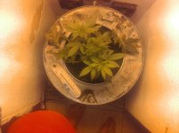 20170223_230451.jpg