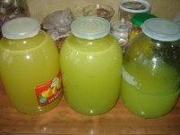 DSC07822.JPG