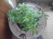 20170225_101842.jpg