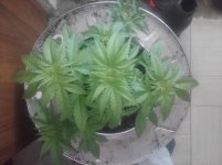 20170226_102628.jpg