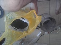 20170226_122913.jpg