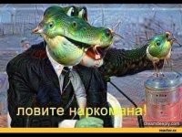 i.jpg