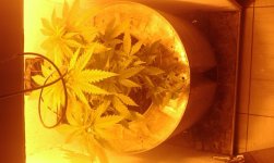 IMAG0026.jpg