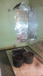 IMG_20170301_011925.jpg