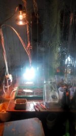 IMG_20170301_011913.jpg