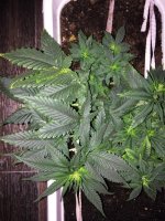 20170303_210410303_iOS.jpg 20170303_210410303_iOS.jpg