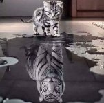 FB_IMG_1486235460225.jpg