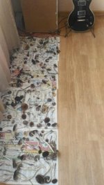 P_20170312_102806_HDR.jpg