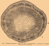 encyclopediyaRU-35_062-1.jpg