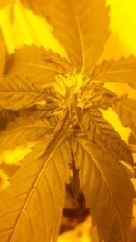 2017-3-13 19-23-1.jpg