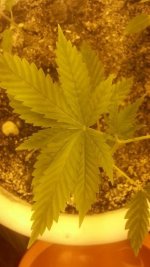 2017-3-13 21-39-44.jpg