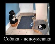 132719853779210.jpeg