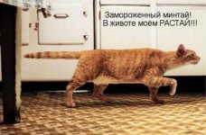 1307048728_1.jpg
