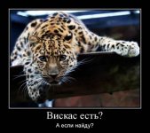 1335587674_doseng.org_01.jpg