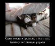 1331867145_014.jpg