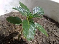 110520121320.jpg