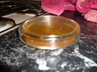 DSC01707.JPG