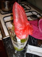 DSC01709.JPG