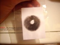 DSCN0538.JPG