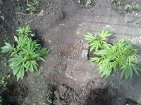 13052012335.jpg