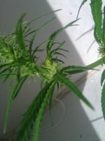 IMG_20120514_085124.jpg