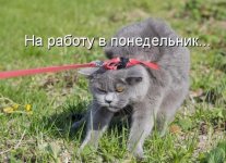 Opyat-ponedelnik-008.jpg