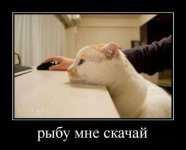 1305499207_demotivatory_01.jpg
