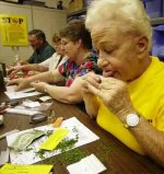 5531marijuana_old-1.jpg