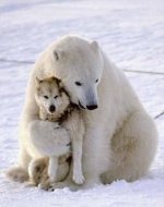 animal_friendship_58.jpg