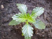 230520121349.jpg