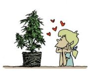 images.jpeg